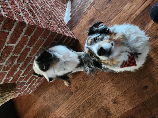 Rocket & Sneakers